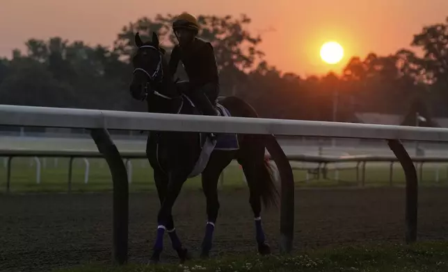 The sun rises over training horses at the Saratoga Race Track, before running of the Belmont Stakes horse race, in Saratoga Springs, N.Y., Thursday, June 5, 2025. (AP Photo/Seth Wenig)