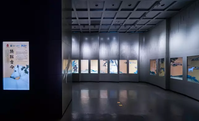 Select exhibits at the “Galloping Through Time: Digital Reimagination of Horse Art and Culture” exhibition.