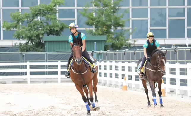 Racing Trainees will study a wide range of courses, including riding，stable management and horse care, preparing trainees for other crucial roles in Hong Kong racing.