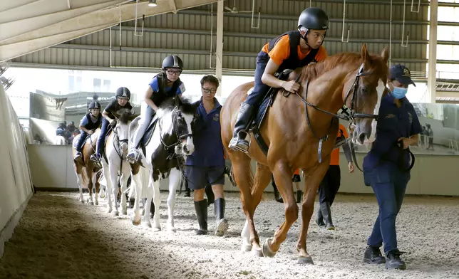Racing Trainees will study a wide range of courses, including riding，stable management and horse care, preparing trainees for other crucial roles in Hong Kong racing.
