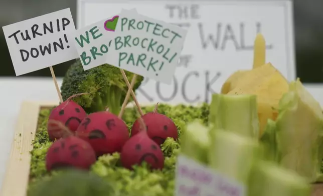 'The Great Wall of Broccoli' on display and part of the vegetable sculpture competition at the Lambeth County Show in London, Saturday, June 7, 2025. (AP Photo/Joanna Chan)