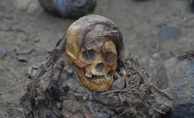 An ancient mummy which archeologists identify as female and from the pre-Inca Chancay culture is partially excavated after being discovered by city workers digging a natural gas line for the company Calidda in the district of Puente Piedra on the outskirts of Lima, Peru, Wednesday, June 18, 2025. (AP Photo/Martin Mejia)
