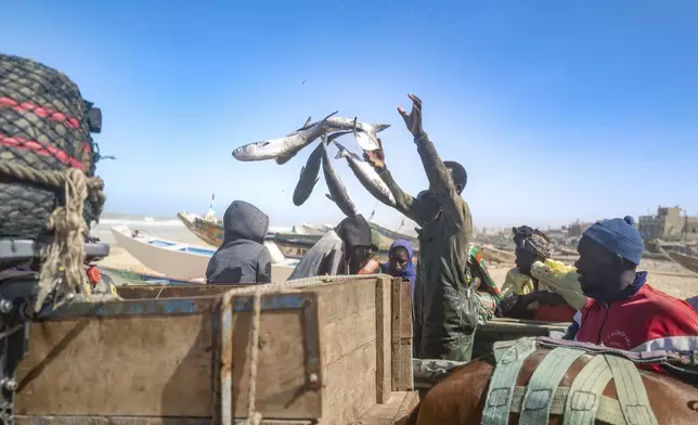 Fishermen return to Saint-Louis, Senegal, Thursday, March 13, 2025. (AP Photo/Sylvain Cherkaoui)