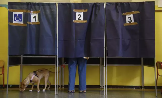 A dog on a leash waits as its owner votes in a booth for referendums on citizenship and job protections, at a polling station in Milan, Italy, Sunday, June 8, 2025. (Claudio Furlan/LaPresse via AP)