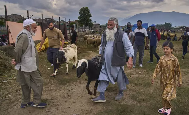 Ali Muhammad, center, and his son, second left, walk back home with sheep bought from a livestock market ahead of the Muslim festival of Eid al-Adha in Srinagar, Indian controlled Kashmir, India, Wednesday, June 4, 2025. (AP Photo/Dar Yasin)