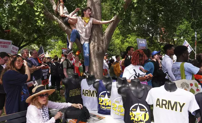 Demonstrators rally at Lafayette park during a demonstration against President Donald Trump policies in Washington, Saturday, June 14, 2025. (AP Photo/Matt Slocum)