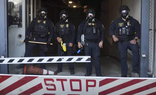 Department of Homeland Security police officers stand during a protest after federal immigration authorities conducted an operation on Friday, June 6, 2025, in Los Angeles. (AP Photo/Jae C. Hong)