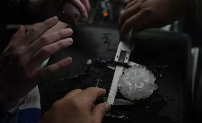 Tony Illenden, left, and Tim Marshall measure a large hail shaped like a rose between the front seats of Northern Illinois University's Husky Hail Hunter vehicle during a Project ICECHIP operation Friday, June 6, 2025, in Morton, Texas. (AP Photo/Carolyn Kaster)