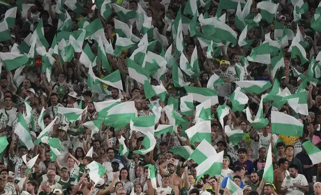 Palmeiras fans wave flags during the Club World Cup Group A soccer match between Inter Miami and Palmeiras in Miami Gardens, Fla., Monday, June 23, 2025. (AP Photo/Lynne Sladky)