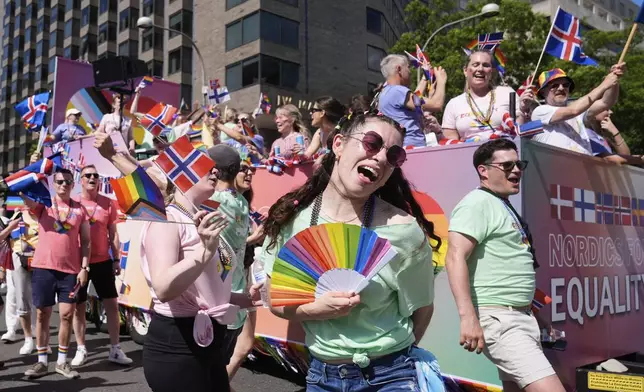 Members of Nordic for Equality march during the World Pride parade, Saturday, June 7, 2025, in Washington. (AP Photo/Mark Schiefelbein)