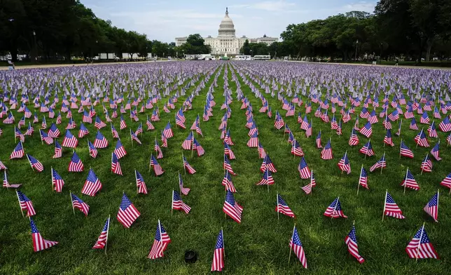 The U.S. Capitol is seen past American flags on the National Mall, Friday, June 6, 2025, on the National Mall in Washington. (AP Photo/Julia Demaree Nikhinson)