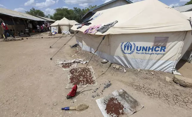 Cooked sorghum dried by the UN tents hosting refugees at the Kakuma Refugee Camp in Turkana County, Kenya, Wednesday, June 4, 2025. (AP Photo/Andrew Kasuku)