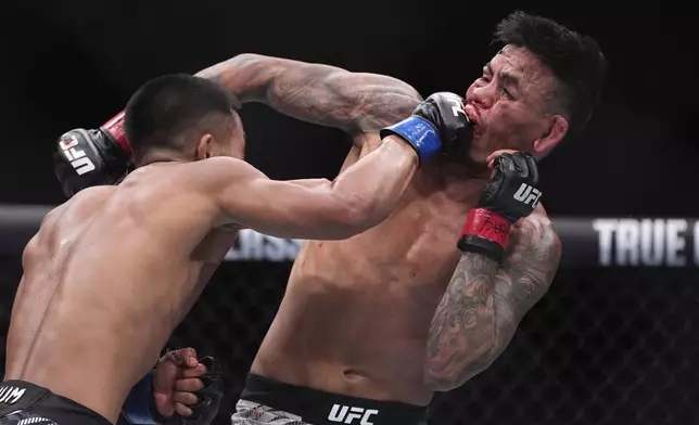 Joshua Van hits Brandon Royval in a flyweight fight at UFC 317, Saturday, June 28, 2025, in Las Vegas. (AP Photo/John Locher)