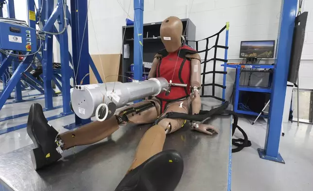 A THOR-5F female crash test dummy is shown on an impact rig at Humanetics in Farmington Hills, Mich., Tuesday, June 10, 2025. (AP Photo/Paul Sancya)