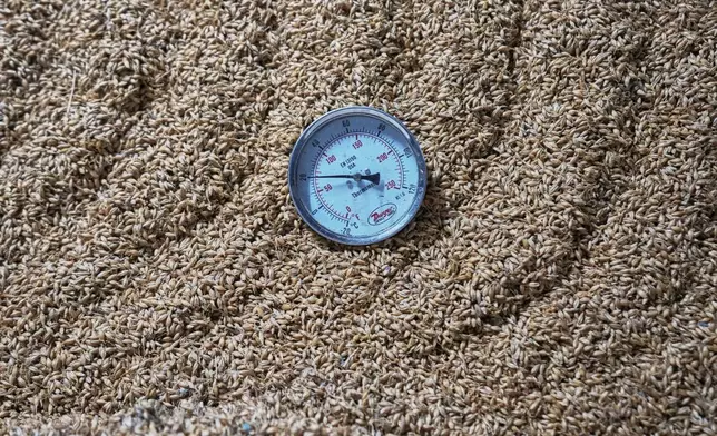 A temperature gauge shows the temperature of barley in a processing unit of the Murree Brewery factory in Rawalpindi, Pakistan, Monday, June 23, 2025. (AP Photo/Anjum Naveed)