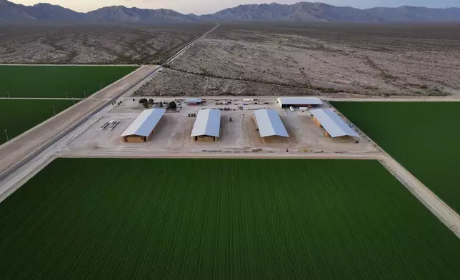 FILE - Bales of hay are stored under shelters at Al Dahra Farms, Tuesday, Oct. 17, 2023, in the McMullen Valley in Wenden, Ariz. (AP Photo/John Locher)
