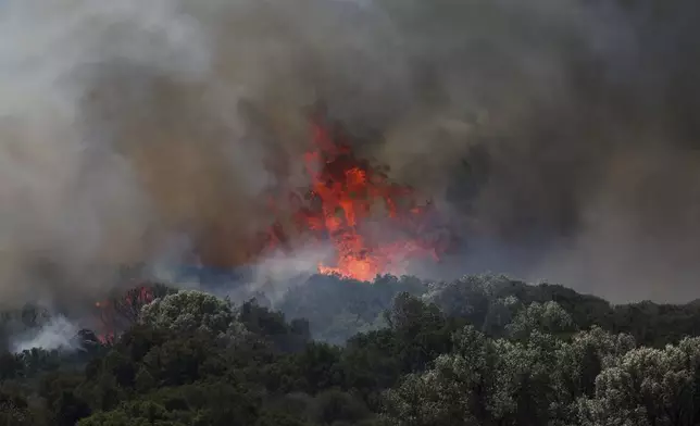 A fire rages across a forest area in Cesme, near Izmir, Turkey, Thursday, July 3, 2025. (Cengiz Malgir/Dia Photo via AP)