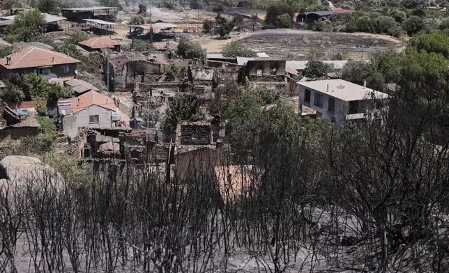 Men stand next to burned homes in Karadogan village near Odemis, Turkey, Friday, July 4, 2025, following a wildfire that heavily damaged the town. (Cengiz Malgir/Dia Photo via AP)