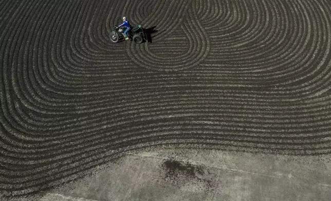 Artur Vargas rides a motorcycle adapted to spread coffee beans for drying on his father's coffee plantation in Varre-Sai, Rio de Janeiro state, Brazil, Friday, July 18, 2025. (AP Photo/Bruna Prado)