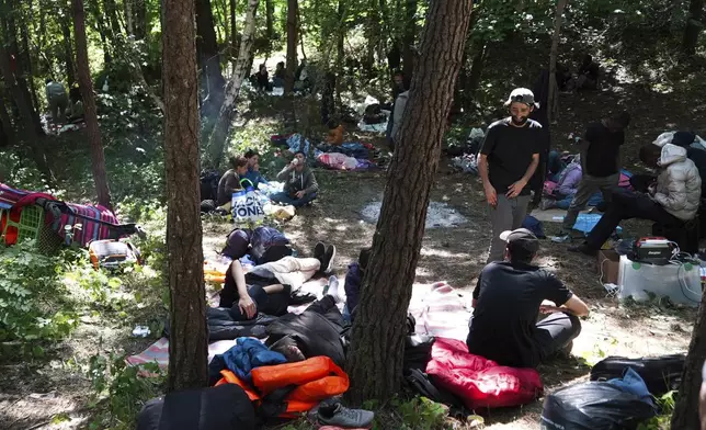 Migrants wait in the Ecault forest, northern France, Thursday, July 3, 2025. (AP Photo/Nicolas Garriga)