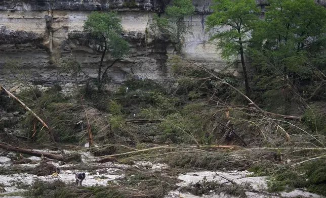 A Texas Department of Public Safety official, bottom left, combs through the banks of the Guadalupe River near Camp Mystic after a flash flood swept through the area Saturday, July 5, 2025, in Hunt, Texas. (AP Photo/Julio Cortez)