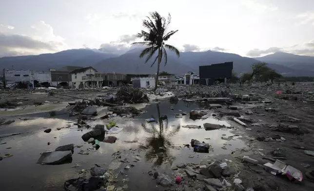 FILE - A lone tree stands in the debris from structures that were wiped out after a massive earthquake and tsunami hit Palu, Central Sulawesi, Indonesia, Thursday, Oct. 4, 2018. (AP Photo/Aaron Favila, File)