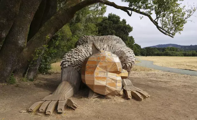 A giant troll sculpture created by the Danish recycle artist Thomas Dambo and his team that's part of an installation of six sculptures called "Trolls Save the Humans" is seen on display at the historic estate Filoli, Saturday, July 5, 2025, in Woodside, Calif. (AP Photo/Terry Chea)