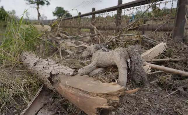 A toy horse is left with fallen tree limbs and debris after flooding in Kerrville, Texas on Wednesday, July 9, 2025. (AP Photo/Ashley Landis)