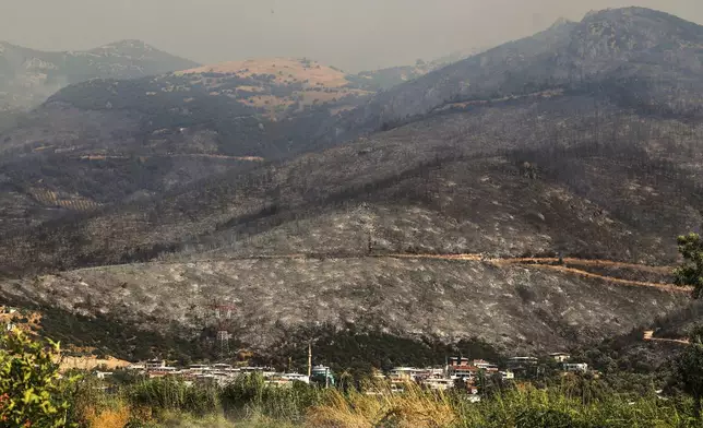 A view shows charred trees and scorched land following a wildfire that swept through the area in Bursa, Turkey, Sunday July 27, 2025. (Sercan Ozkurnazli/DIA Images via AP)