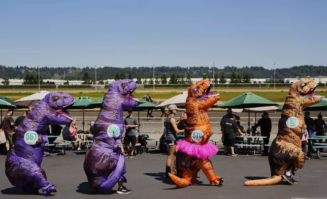 Racers are escorted to the track during the "T-Rex World Championship Races" at Emerald Downs, Sunday, June 29, 2025, in Auburn, Wash. (AP Photo/Lindsey Wasson)