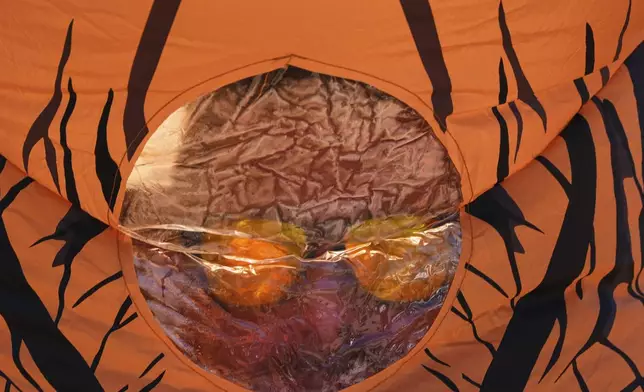 A participant's viewing cutout fogs up in the heat during the "T-Rex World Championship Races" at Emerald Downs, Sunday, June 29, 2025, in Auburn, Wash. (AP Photo/Lindsey Wasson)