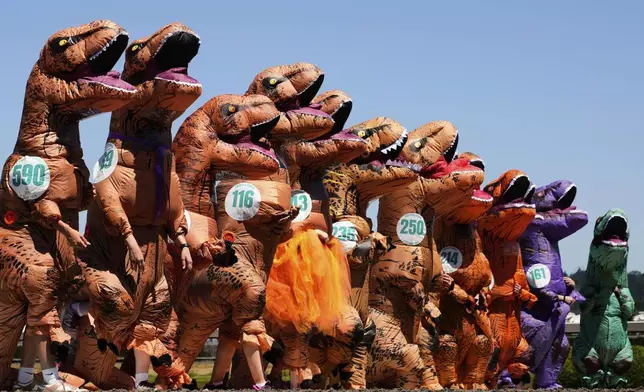 Participants line up for a women's preliminary heat during the "T-Rex World Championship Races" at Emerald Downs, Sunday, June 29, 2025, in Auburn, Wash. (AP Photo/Lindsey Wasson)