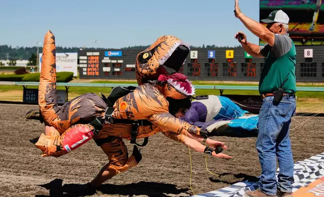 Cody Vancina of Skydive Snohomish dives at the finish line after parachuting down to the track in a t-rex outfit with two colleagues during the "T-Rex World Championship Races" at Emerald Downs, Sunday, June 29, 2025, in Auburn, Wash. (AP Photo/Lindsey Wasson)