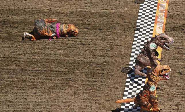 A T-Rex face-plants near the finish line in a preliminary heat during the "T-Rex World Championship Races" at Emerald Downs, Sunday, June 29, 2025, in Auburn, Wash. (AP Photo/Lindsey Wasson)