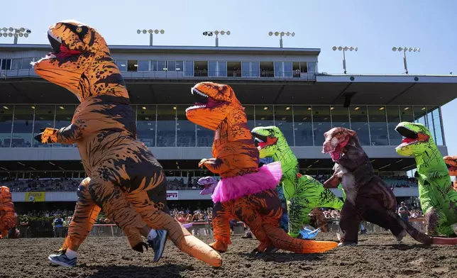 T-rex racers participate in an over-50 race during the "T-Rex World Championship Races" at Emerald Downs, Sunday, June 29, 2025, in Auburn, Wash. (AP Photo/Lindsey Wasson)