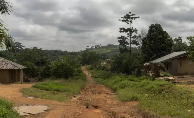 A lone person walks on a dirt road in Bong County, Liberia, Friday, June 13, 2025. (AP Photo/Annie Risemberg)