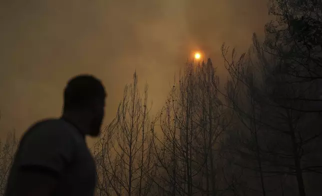 An emergency responder with the Syrian Civil Defense, known as the White Helmets, watches as smoke and flames rise from burning trees during a wildfire in the town of Rabia, Syria, in the Latakia countryside, on Saturday, July 5, 2025. (AP Photo/Ghaith Alsayed)
