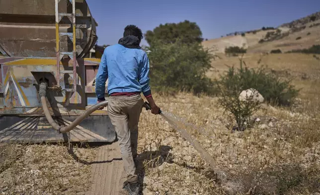 A worker from local government irrigates newly planted argan trees to help fight against drought and deforestation, in Essaouira, Morocco, Thursday, May 22, 2025. (AP Photo/Mosa'ab Elshamy)