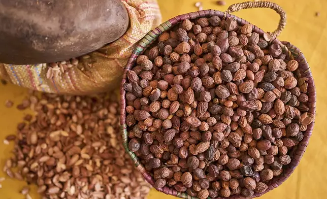 Argan seeds are placed in a basket after getting cracked at a cooperative that extracts and produces argan oil and products, Essaouira, Morocco, Thursday, May 22, 2025. (AP Photo/Mosa'ab Elshamy)