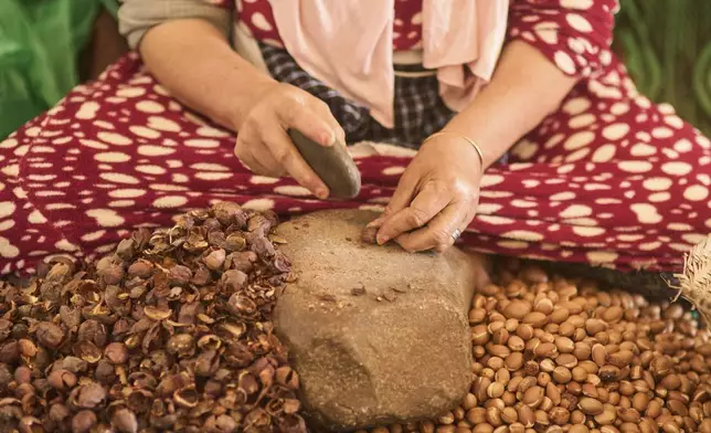 A woman cracks argan nuts at a cooperative that extracts and produces argan oil and products, in Essaouira, Morocco, Thursday, May 22, 2025. (AP Photo/Mosa'ab Elshamy)
