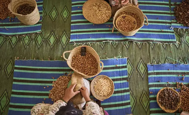Women crack argan nuts at a cooperative that extracts and produces argan oil and products, in Essaouira, Morocco, Thursday, May 22, 2025. (AP Photo/Mosa'ab Elshamy)