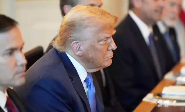 President Donald Trump meets with Israel's Prime Minister Benjamin Netanyahu in the Blue Room of the White House, Monday, July 7, 2025, in Washington. (AP Photo/Alex Brandon)