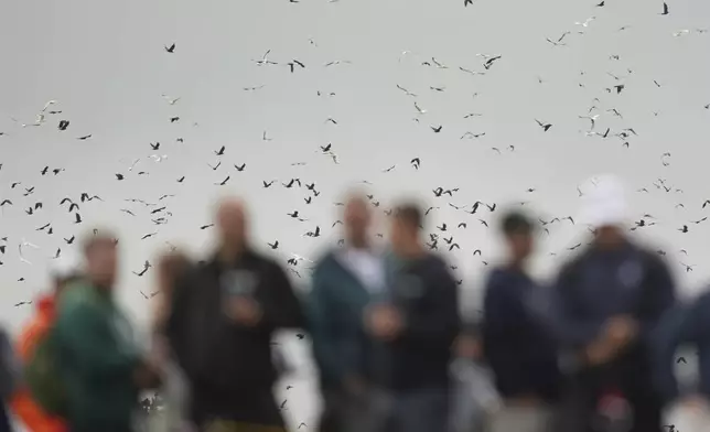 A flock of seagulls fly behind spectators who are watching the second round of the British Open golf championship at the Royal Portrush Golf Club, Northern Ireland, Friday, July 18, 2025. (AP Photo/Francisco Seco)