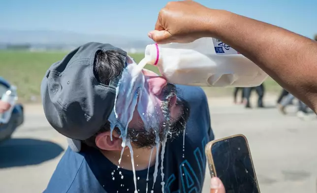 Milk is poured on a protester's face after federal immigration agents tossed tear gas at protesters during a raid in the agriculture area of Camarillo, Calif., Thursday, July 10, 2025. (AP Photo/Michael Owen Baker)
