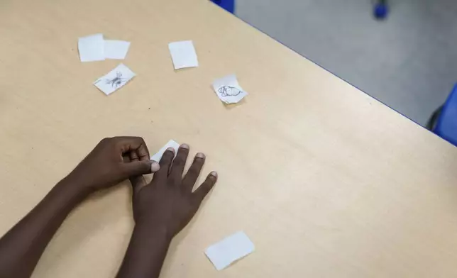 Kyro Sanchez, 7, participates in a science activity about pollinators during the East Providence Boys and Girls Club Summer Camp at Emma G. Whiteknact Elementary School on Thursday, July 10, 2025, in Providence R.I. (AP Photo/Sophie Park)