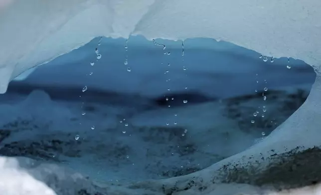 Water drips from a melting chunk of ice that originated in the Rhone Glacier near Goms, Switzerland, Tuesday, June 10, 2025. (AP Photo/Matthias Schrader)