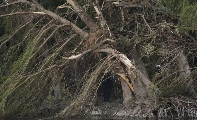 Search and rescue teams comb the banks of the Guadalupe River after a flash flood swept through the area, Saturday, July 12, 2025, in Kerrville, Texas. (AP Photo/Eric Gay)