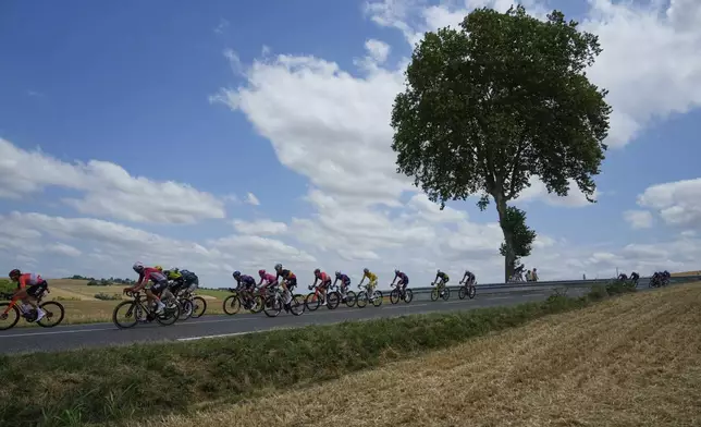 The group with Slovenia's Tadej Pogacar, wearing the overall leader's yellow jersey, center, rides during the fifteenth stage of the Tour de France cycling race over 169.3 kilometers (105.2 miles) with start in Muret and finish in Carcassone, France, Sunday, July 20, 2025. (AP Photo/Mosa'ab Elshamy)