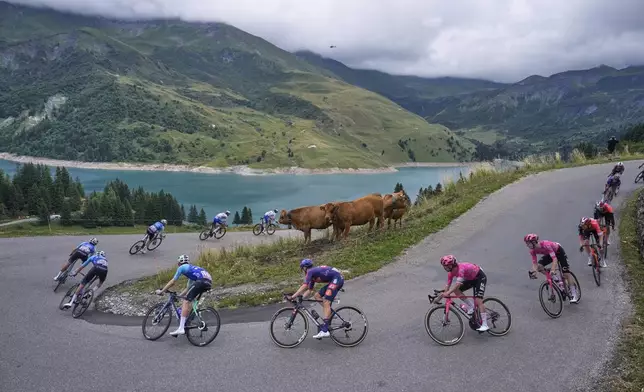 The pack speeds down Cormet de Roseland pass during the nineteenth stage of the Tour de France cycling race over 93.1 kilometers (57.85 miles) with start in Albertville and finish in La Plagne, France, Friday, July 25, 2025. (AP Photo/Mosa'ab Elshamy)