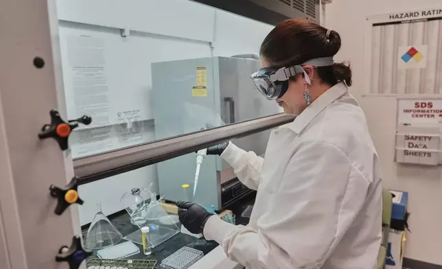 Reese Jackson draws a sample used to measure the hydration level in bees Tuesday, June 17, 2025, at Bowling Green State University in Bowling Green, Ohio. (AP Photo/Joshua A. Bickel)
